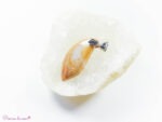Pendentif en Corail fossile