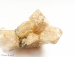 Cluster en Quartz Lodolite