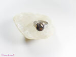 bague en Jaspe léopard