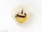 Pendentif coeur en Septaria